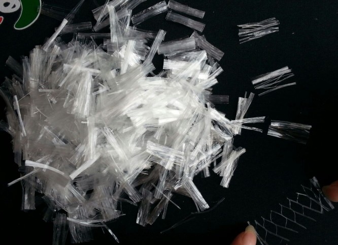 �۱�ϩ�W���w�S