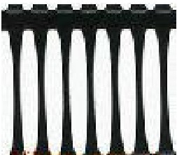 �Y(ji��)�c(di��n)�������