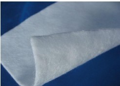 �����L(zh��ng)�z������