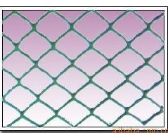 �ߏ��������W