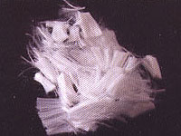 ���������w�S