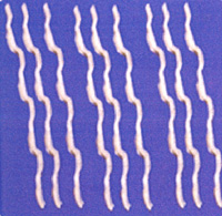 ���y����w�S