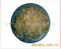 �۱�ϩ�湤���w�S