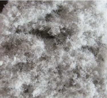 ľ�|���w�S