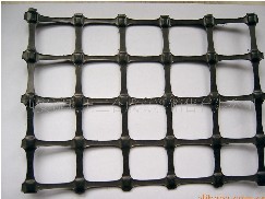 �����p�������������