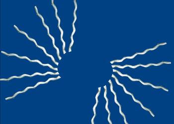 ������w�S