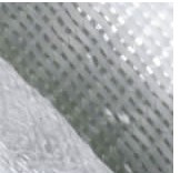 �����w�S�p�S����