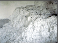 �N�����͉��w���ϣ�ľ�|�w�S