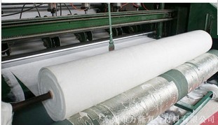 �o�A�����w�S��