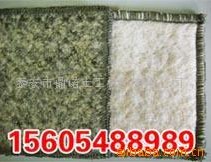 ������ˮ̺