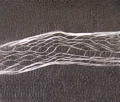 �۱�ϩ�W���w�S