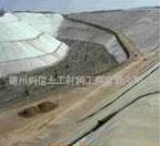 ����Ĥ,���BĤ