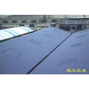 �FƤ���\�߷������P��������