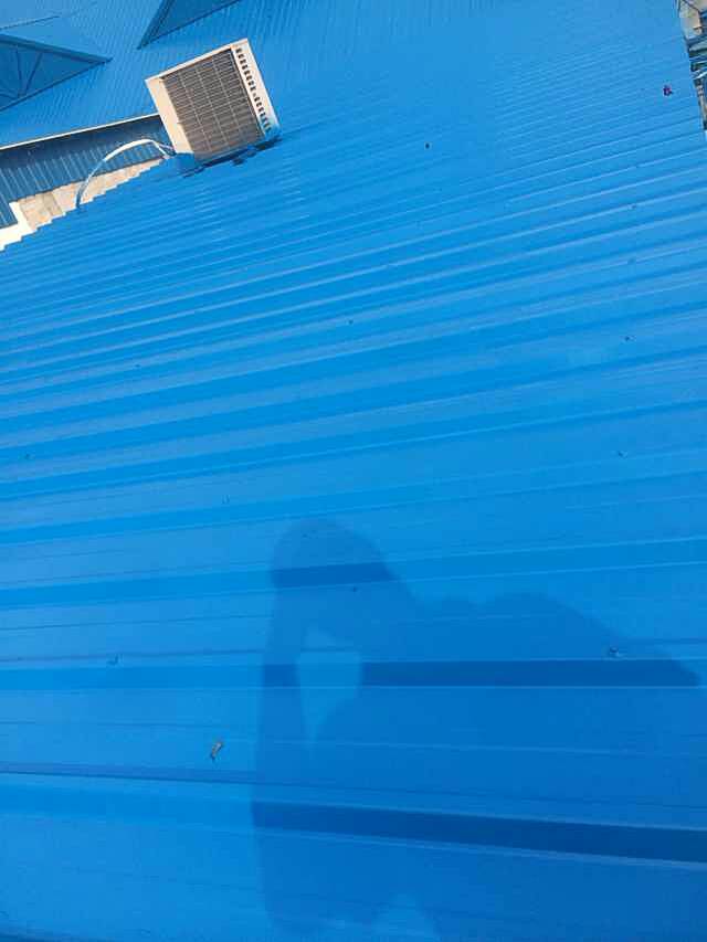 �������淭�·��P����