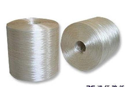 �����w�S�͉A��