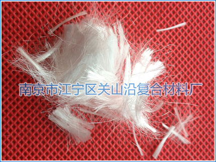 1.5cm�ЉA�����w�S���м�