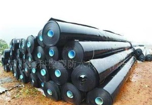 HDPE����Ĥ(���BĤ)