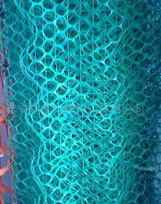 �����W�|