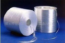 �ߏ������D���ü�