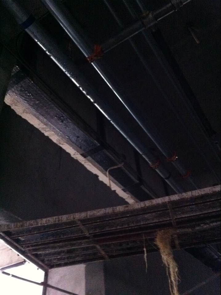 ���(y��ng)��̼�w�S�ӹ̈DƬ