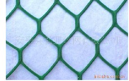 �����B(y��ng)ֳ�W(w��ng)