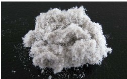 ����ľ�|���w�S