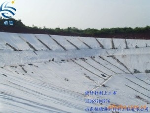 ���w������