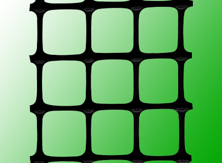 �p�������������