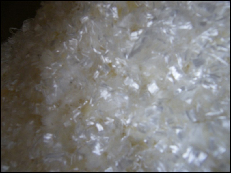 �۱�ϩ���w�S����