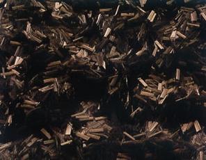 ̼�w�S����