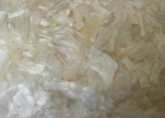 �����w�S