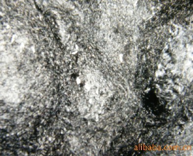 �����w�S