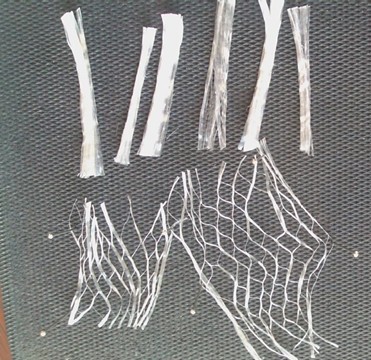 �۱�ϩ�W���w�S