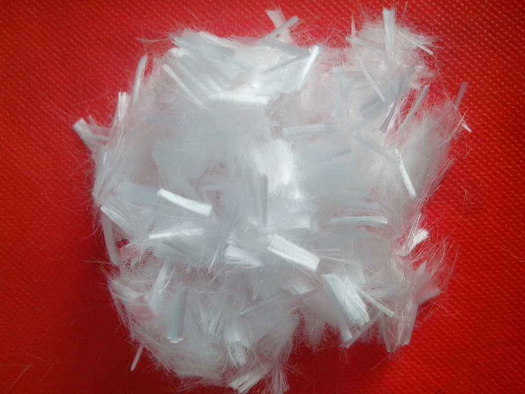 �v�R��ľ�|�w�S�r��