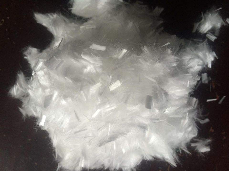 �ꖿ����w�S�S��ֱ�N