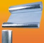 �����w�S��Ϳ�X��