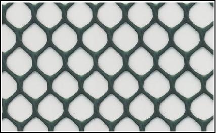 �����W(w��ng)