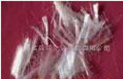 �����������w�S