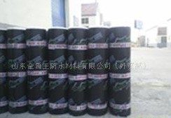 ���Ԟr���ˮ����