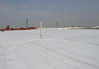 �L�w������