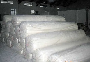 �����L(zh��ng)�z������