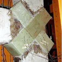 �o�A�����w�S����