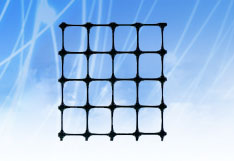 �p�������������