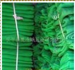 �������o�W