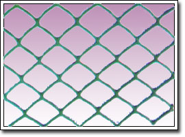 �����W���������ң����Sֲ���W��