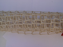 ���������W