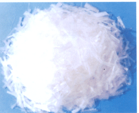 �۱�ϩ�W���w�S