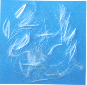 �۱�ϩ���w�S