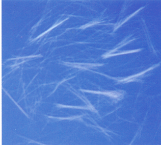 �۱�ϩ�����w�S