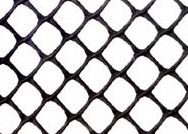 ����(y��ng)�����W(w��ng)